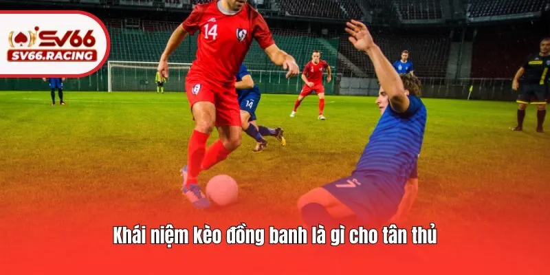 Khái niệm kèo đồng banh là gì cho tân thủ