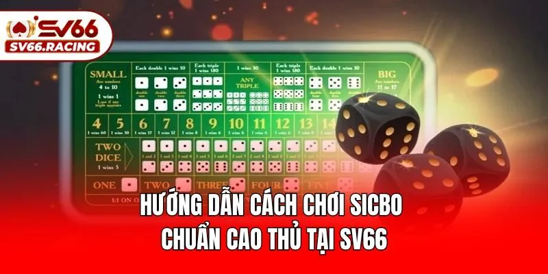 Hướng Dẫn Cách Chơi Sicbo Chuẩn Cao Thủ Tại SV66
