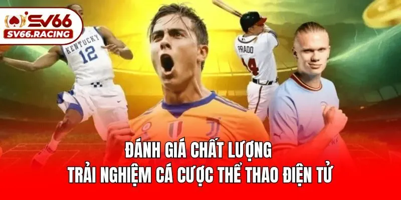 Đánh giá chất lượng trải nghiệm cá cược thể thao điện tử